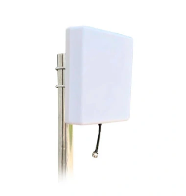 2.4 GHz Dish Antenna: A Complete Guide