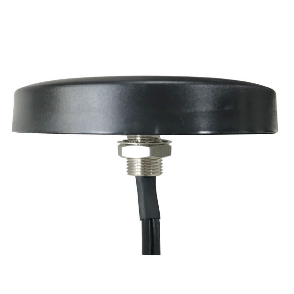Combo Antennas 868 MHz + LTE Screw Mounting（AC-LTE/868-03）